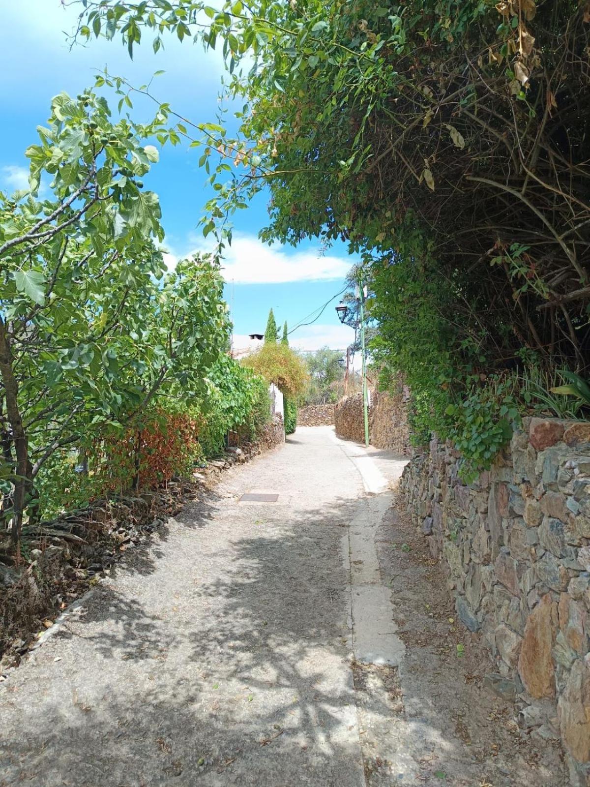 Casa Rural El Olivo アラセナ エクステリア 写真