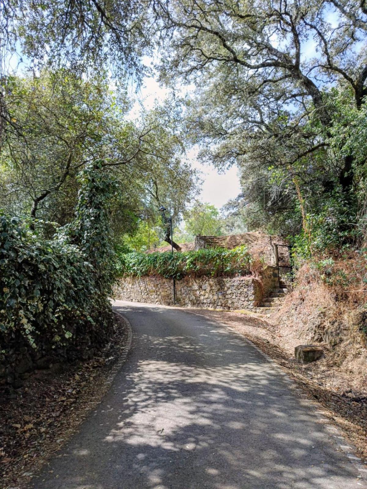 Casa Rural El Olivo アラセナ エクステリア 写真
