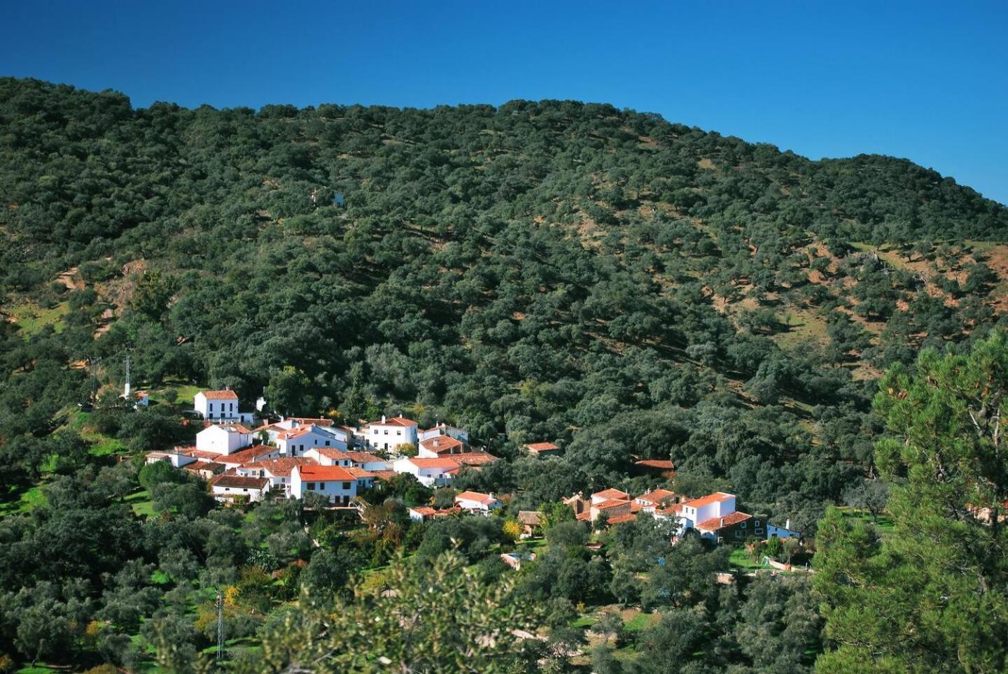 Casa Rural El Olivo アラセナ エクステリア 写真